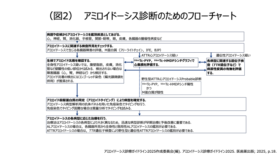 アミロイドーシス診断のためのフローチャート