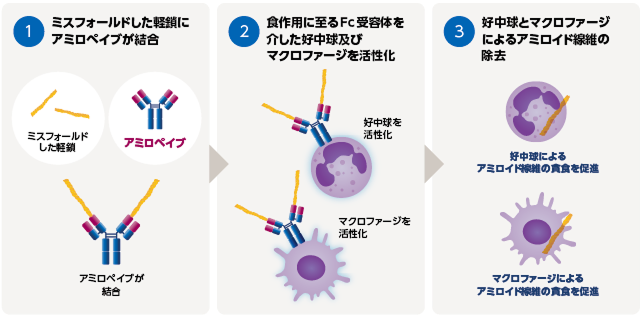作用機序