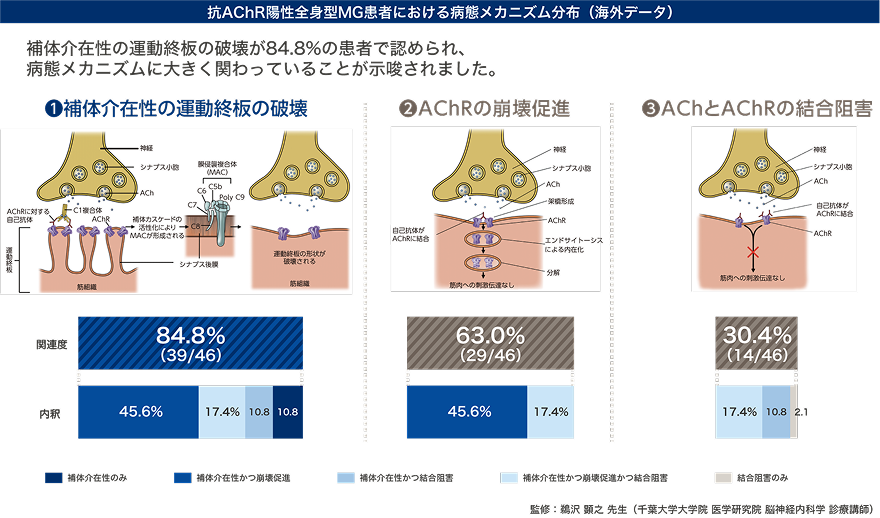 抗AChR陽性全身型MG患者における病態メカニズム分布（海外データ）