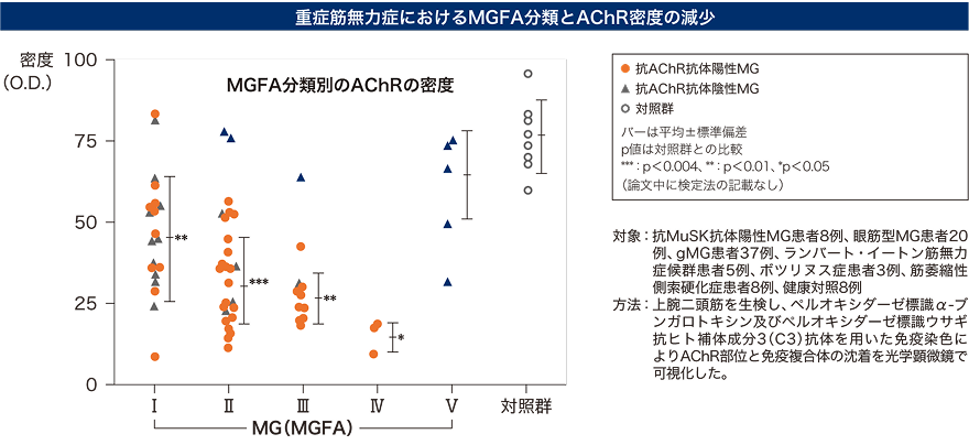重症筋無力症におけるMGFA分類とAChRの減少